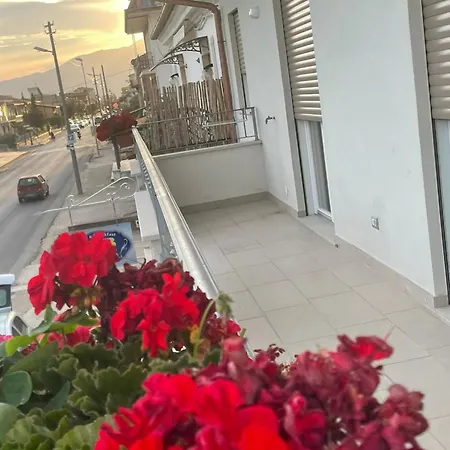 Angelina 明图尔诺